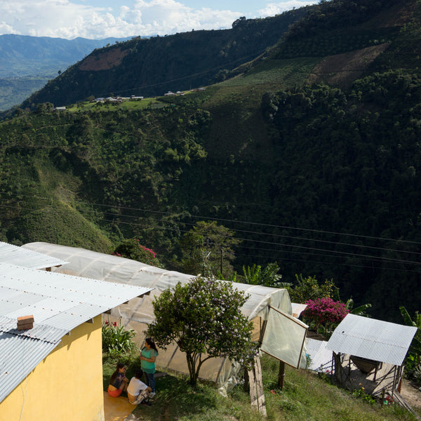 COLOMBIE - El Copito