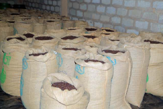 ETHIOPIE - Banko Chelchele