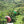 Charger l'image dans la galerie, COLOMBIE - Bella Vista #2
