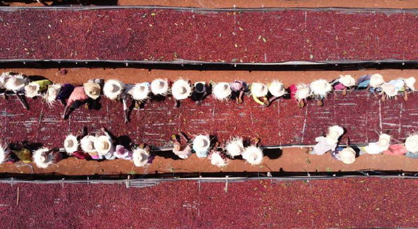 ETHIOPIE - Banko Chelchele