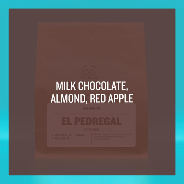 SALVADOR - El Pedregal