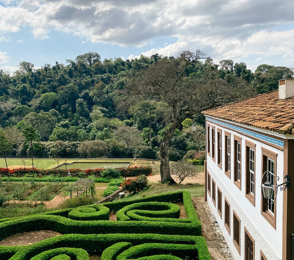 First Bin - Cerrado Mineiro