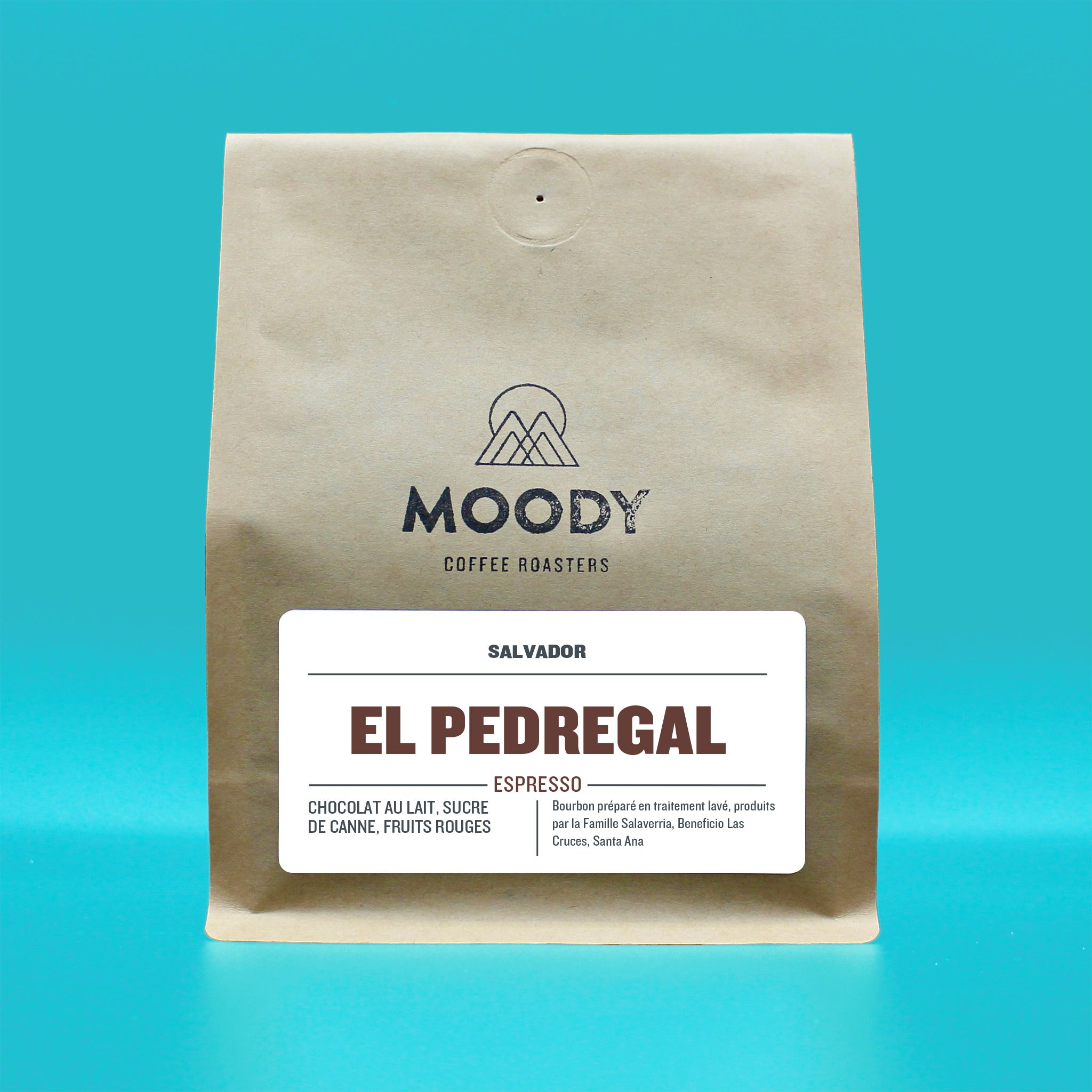 SALVADOR - EL PEDREGAL