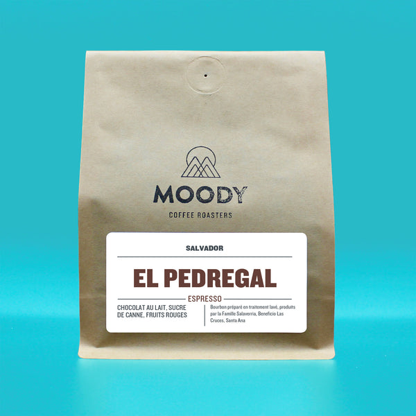 SALVADOR - EL PEDREGAL