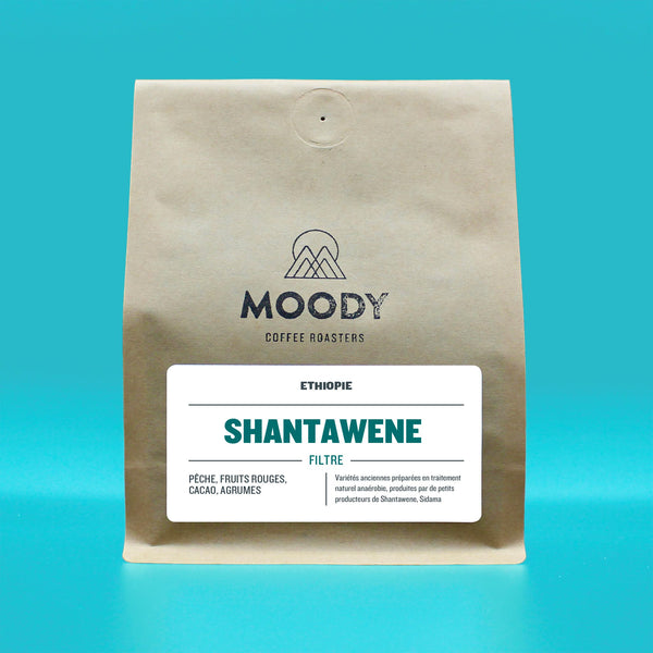 ETHIOPIE - Shantawene