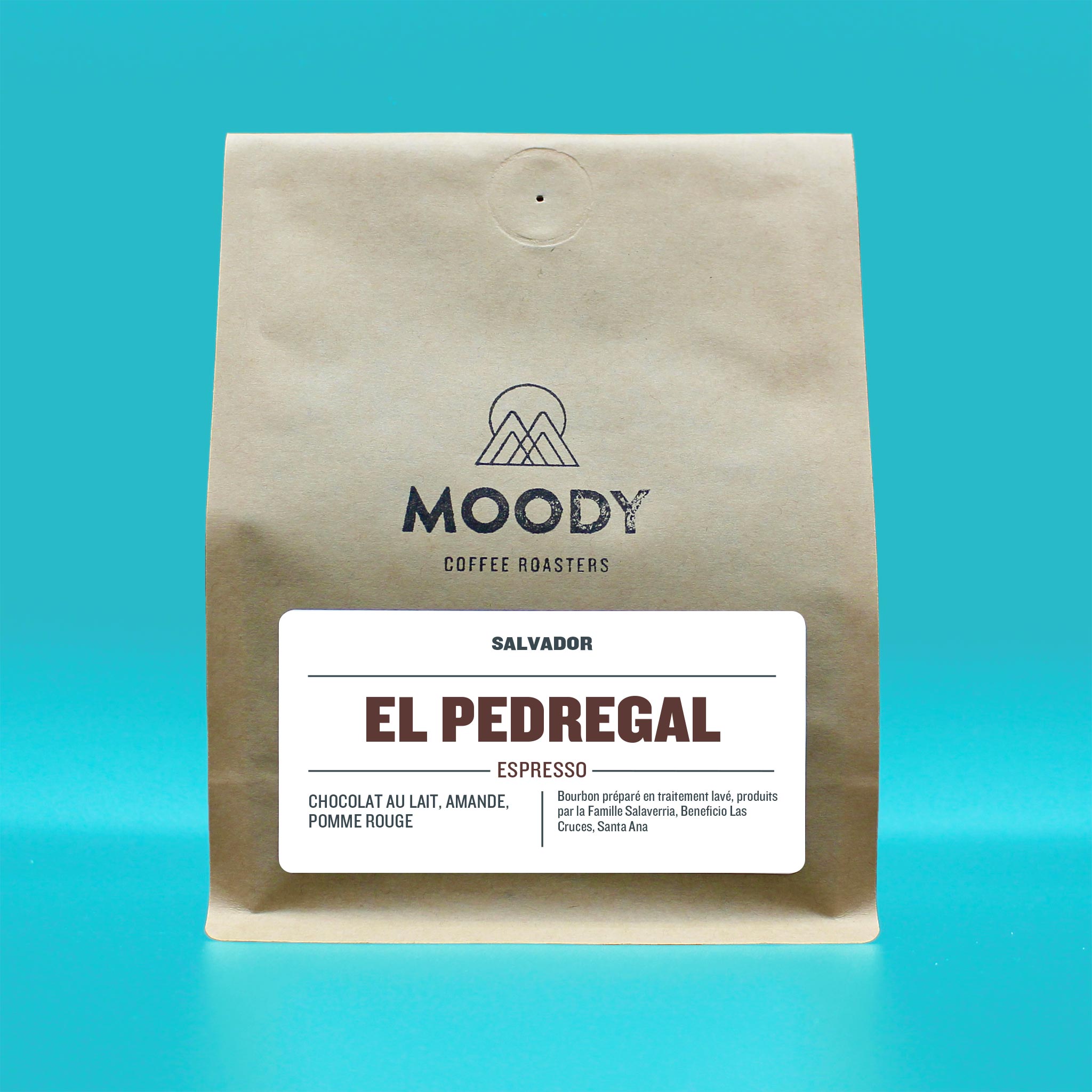 Photo of Salvador El Pedregal 2