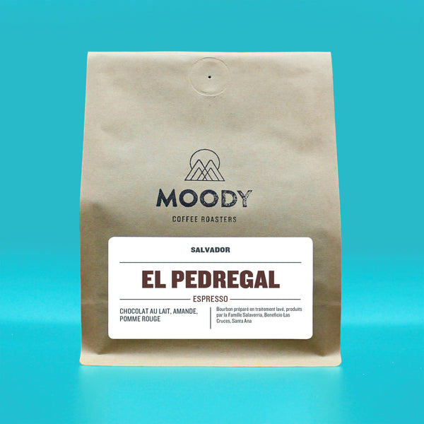 SALVADOR - El Pedregal