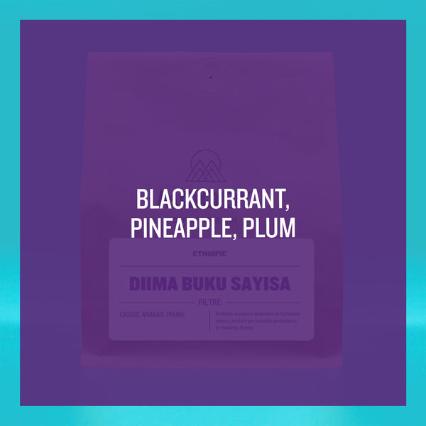 ETHIOPIE - Diima Buku Sayisa