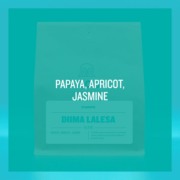 ETHIOPIE - Diima Lalesa