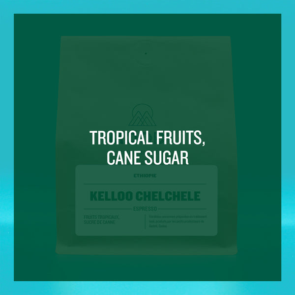 ETHIOPIE - Kelloo Chelchele