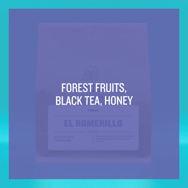 PEROU - El Romerillo