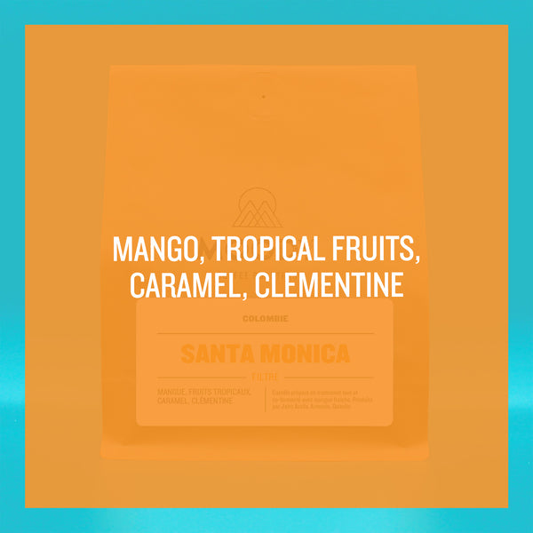 COLOMBIE - Santa Monica